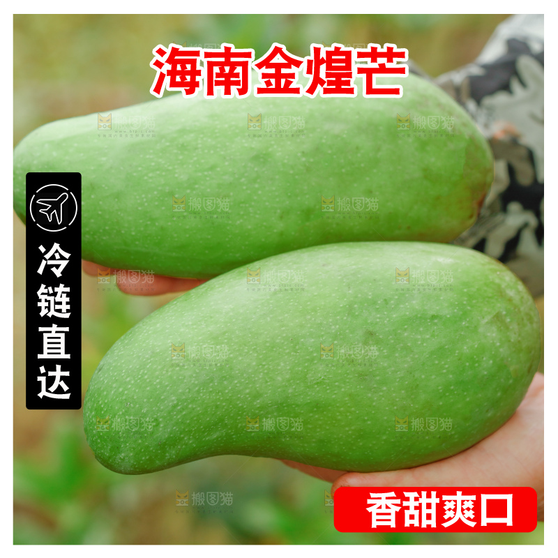 浅底上的绿皮金煌芒
