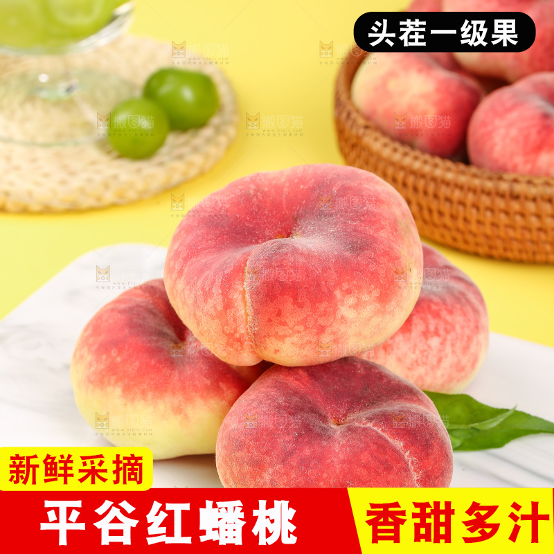浅底上的毛蟠桃