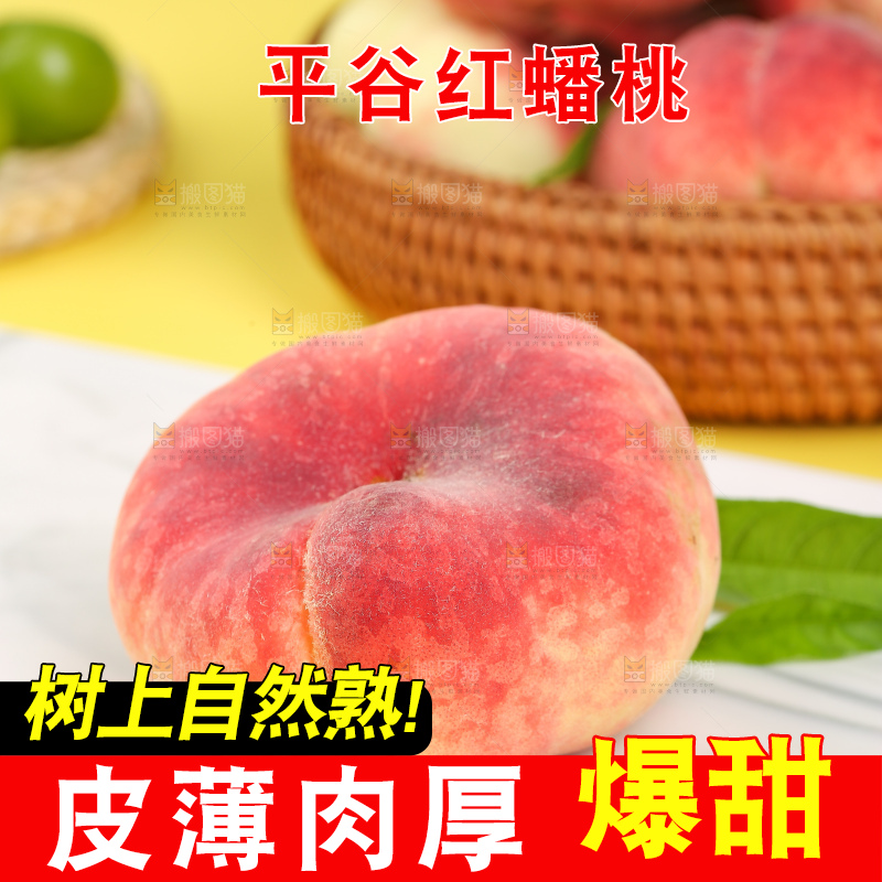 浅底上的毛蟠桃