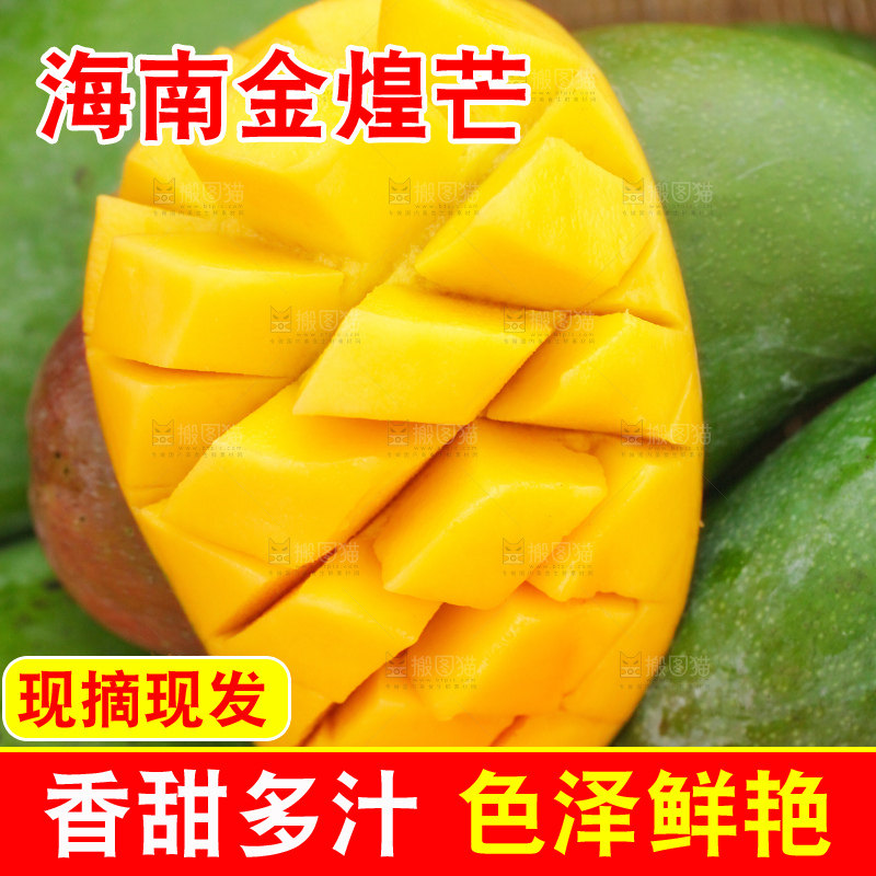 浅底上的绿皮金煌芒