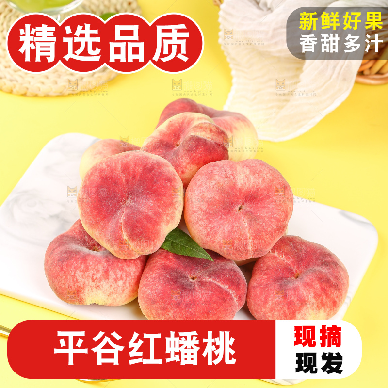 浅底上的毛蟠桃