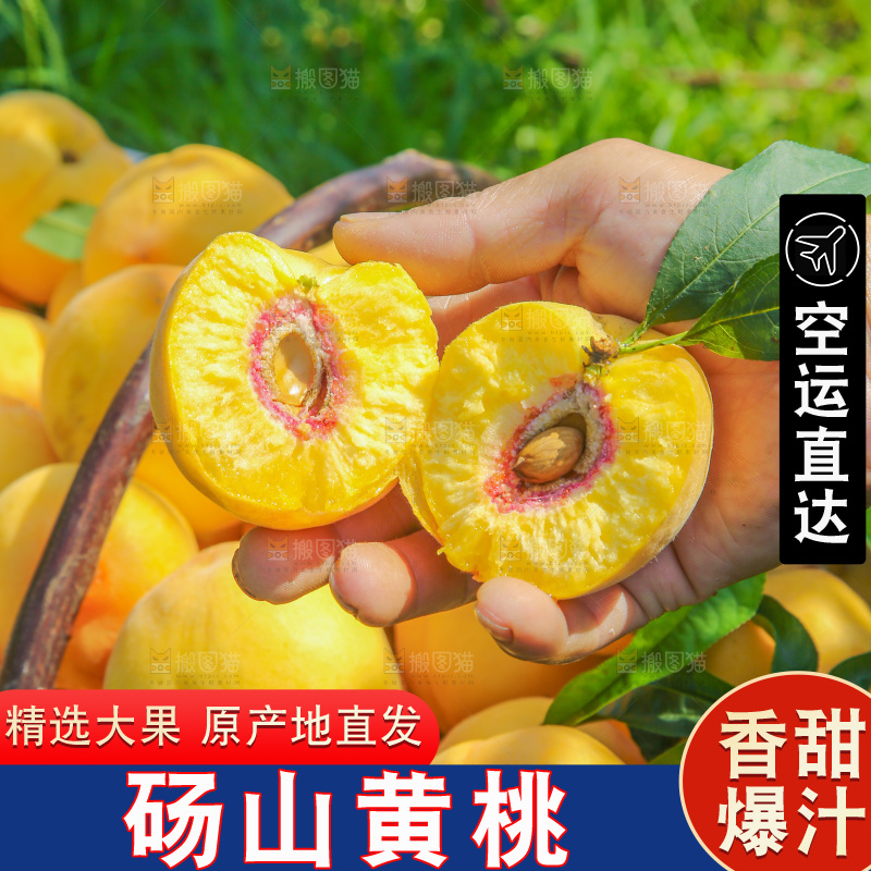 手里拿着黄毛桃