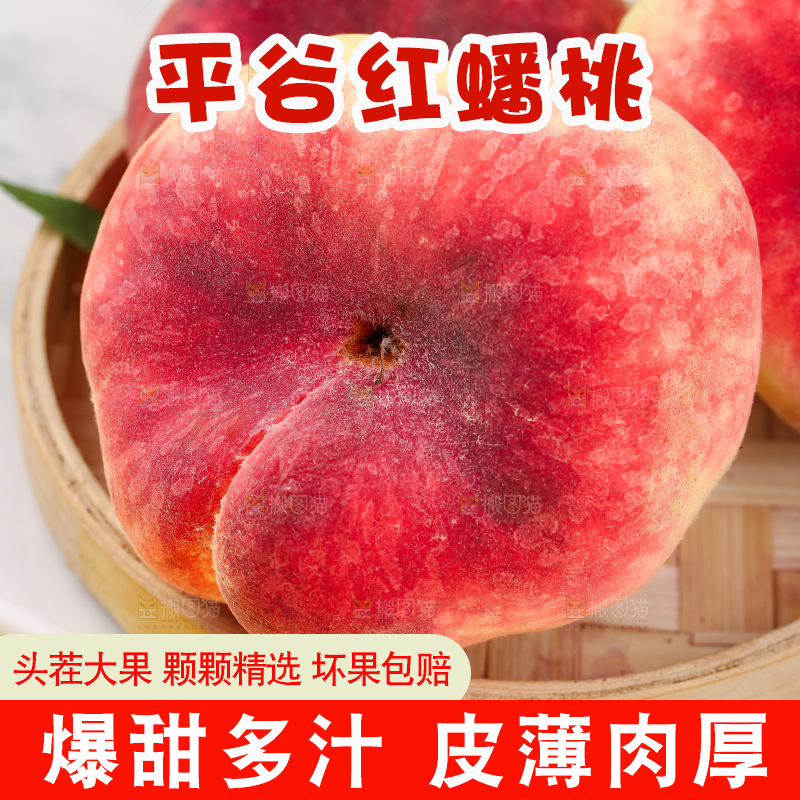 浅底上的毛蟠桃