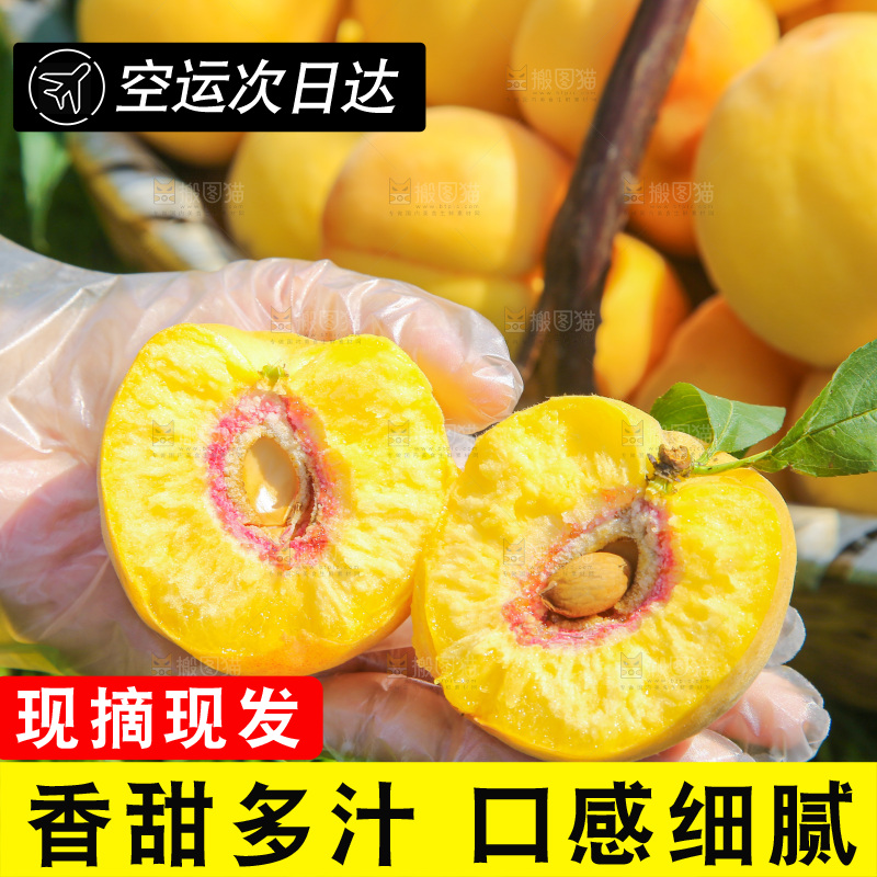 手里拿着黄毛桃