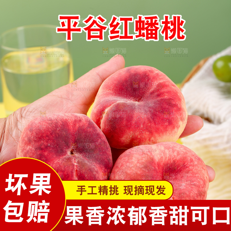 浅底上的毛蟠桃