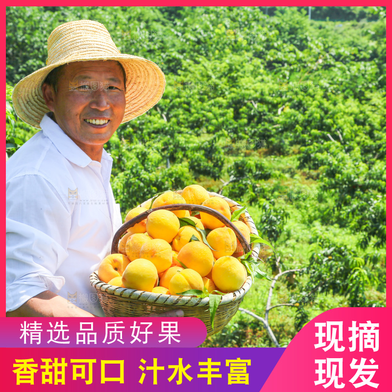 手里拿着黄毛桃