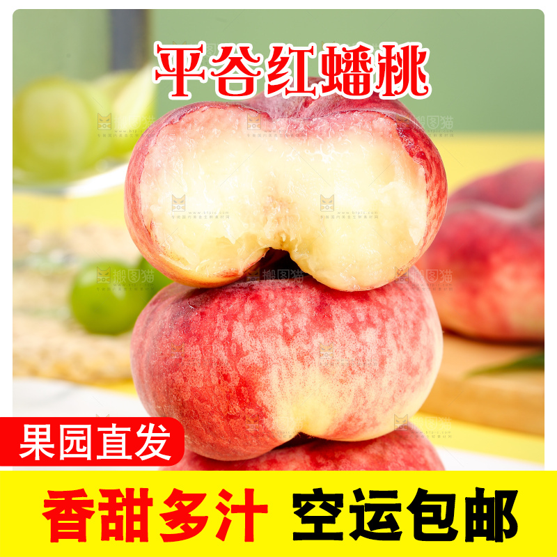 浅底上的毛蟠桃