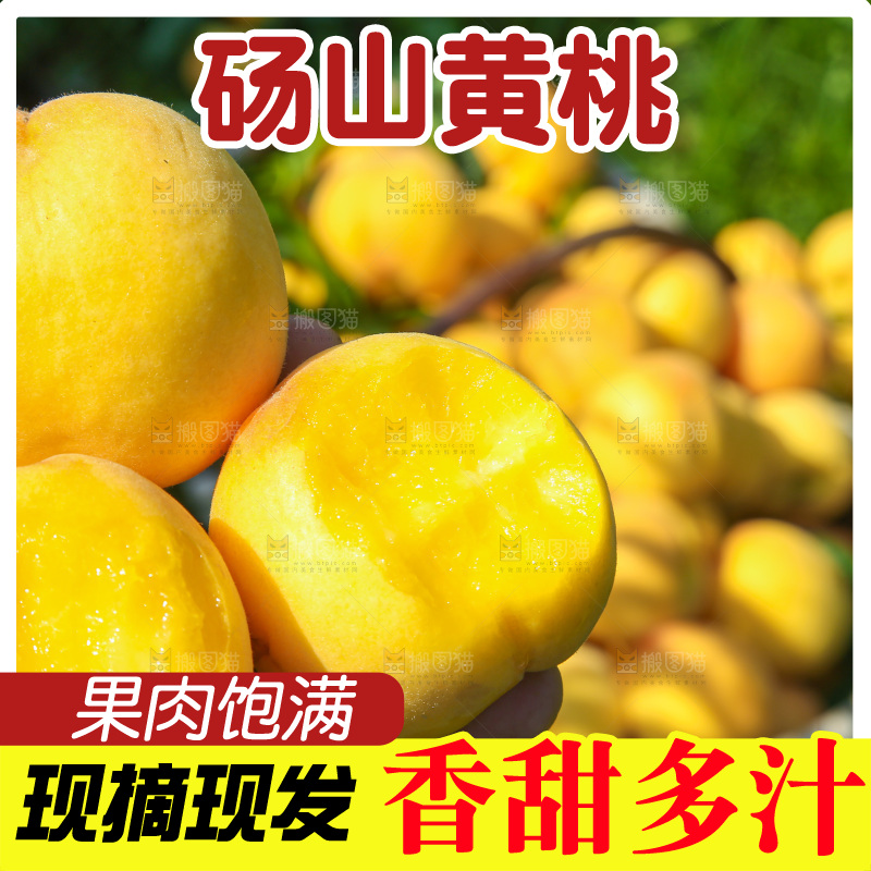 手里拿着黄毛桃