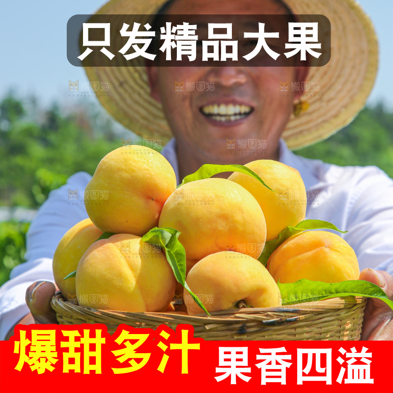 手里拿着黄毛桃