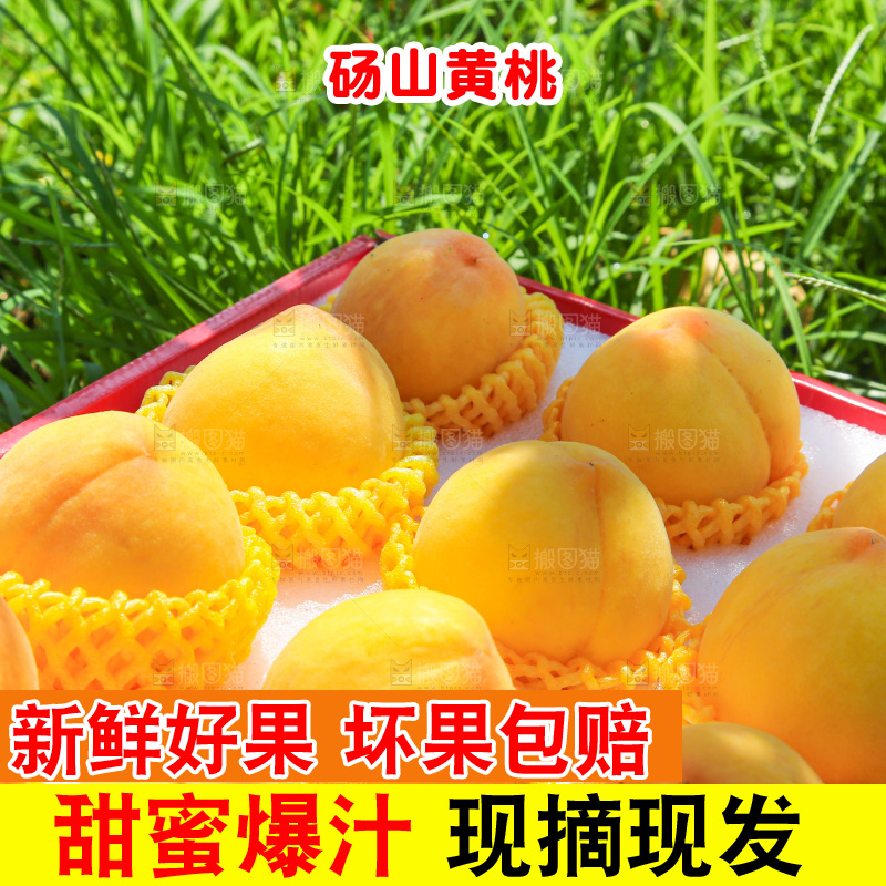 手里拿着黄毛桃