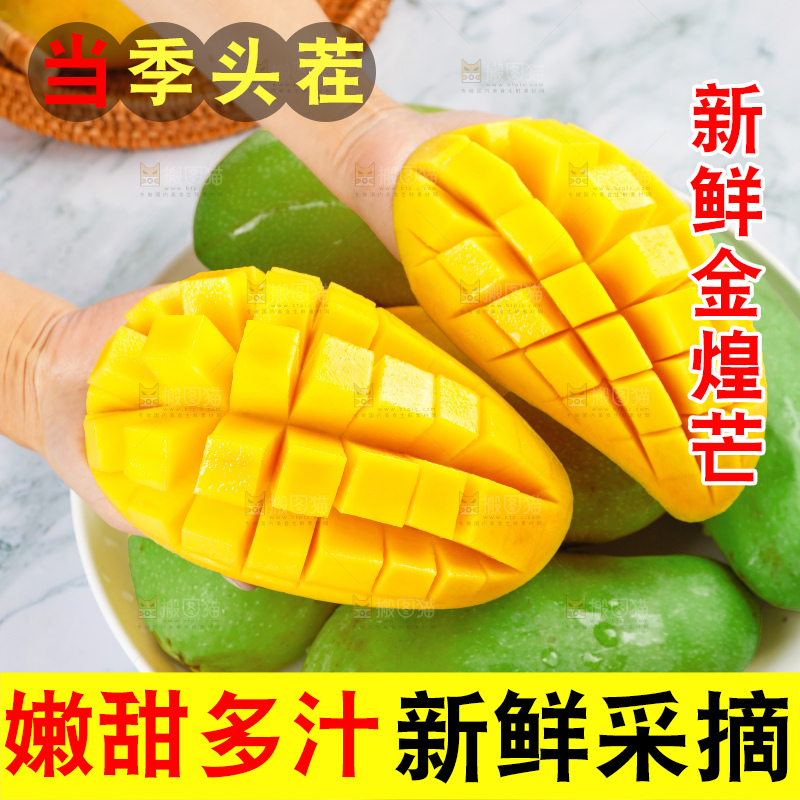 浅底上的绿皮金煌芒