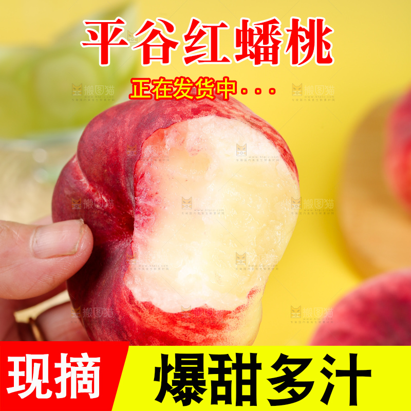 浅底上的毛蟠桃