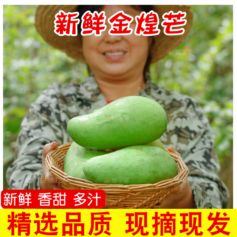浅底上的绿皮金煌芒