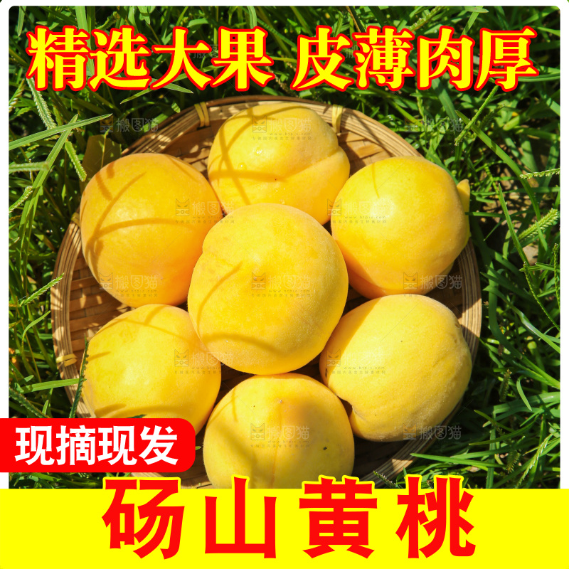 手里拿着黄毛桃
