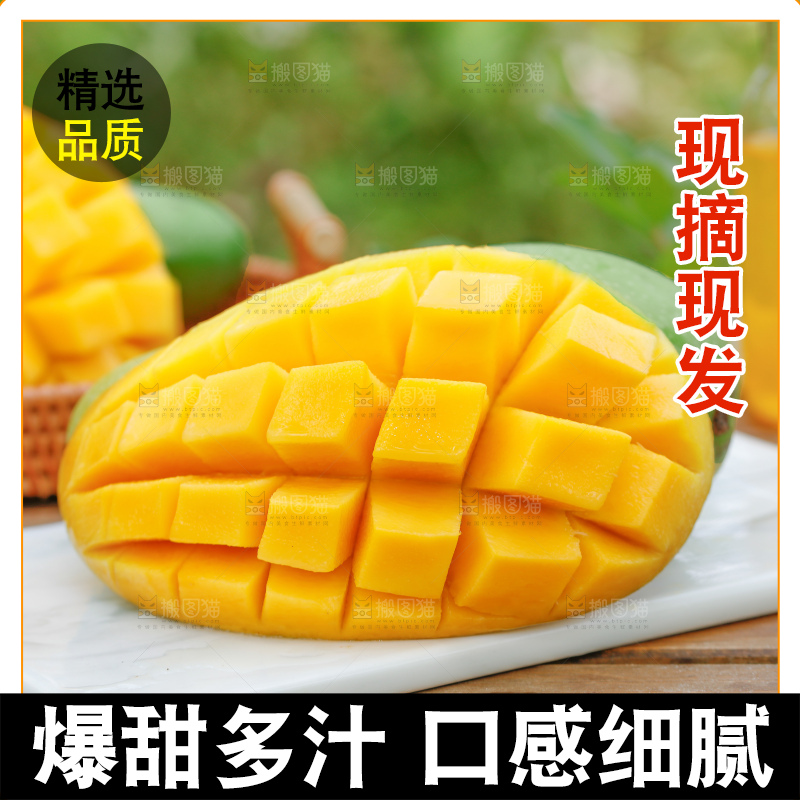浅底上的绿皮金煌芒
