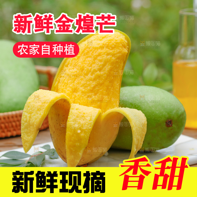 浅底上的绿皮金煌芒