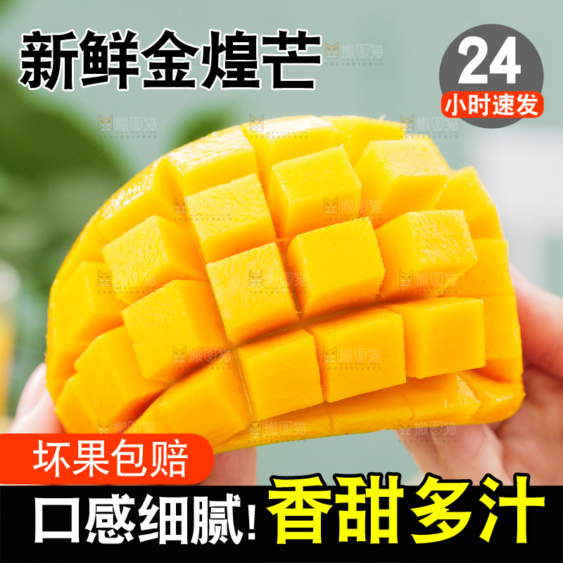 浅底上的绿皮金煌芒