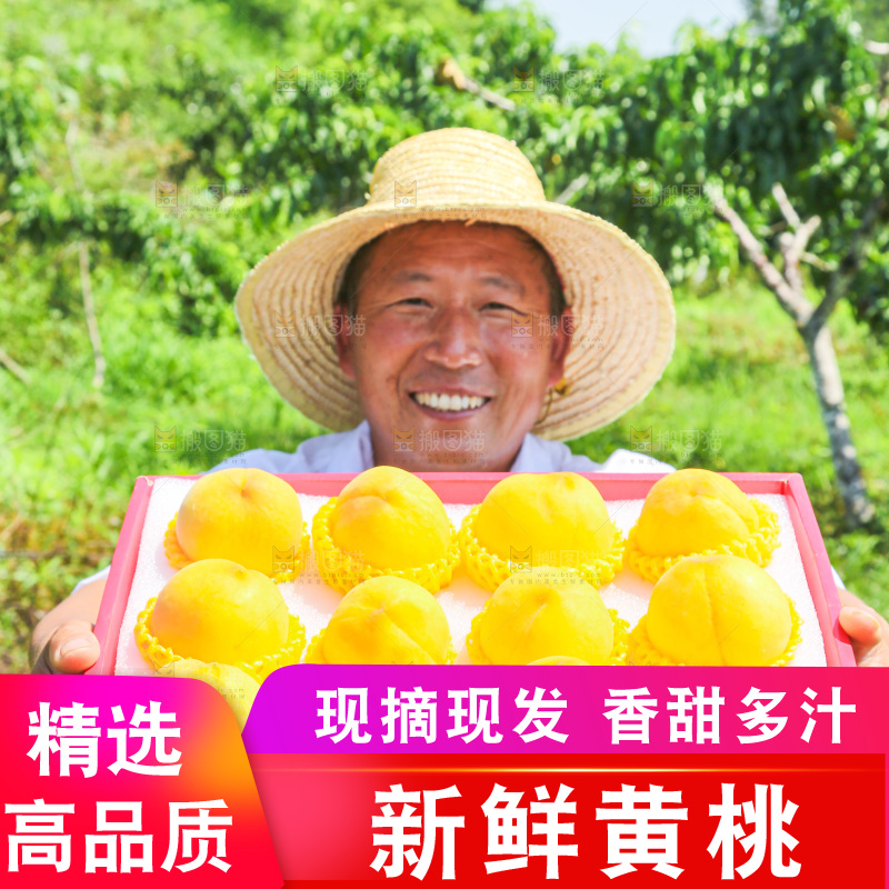 手里拿着黄毛桃