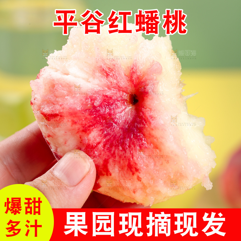 浅底上的毛蟠桃