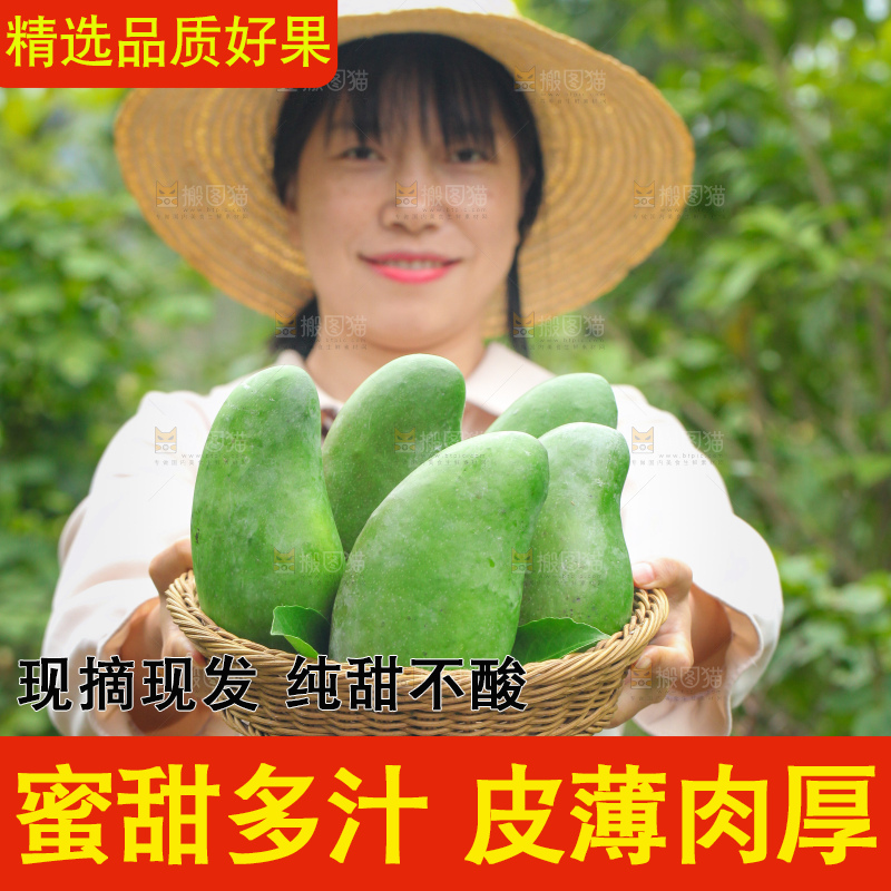 浅底上的绿皮金煌芒