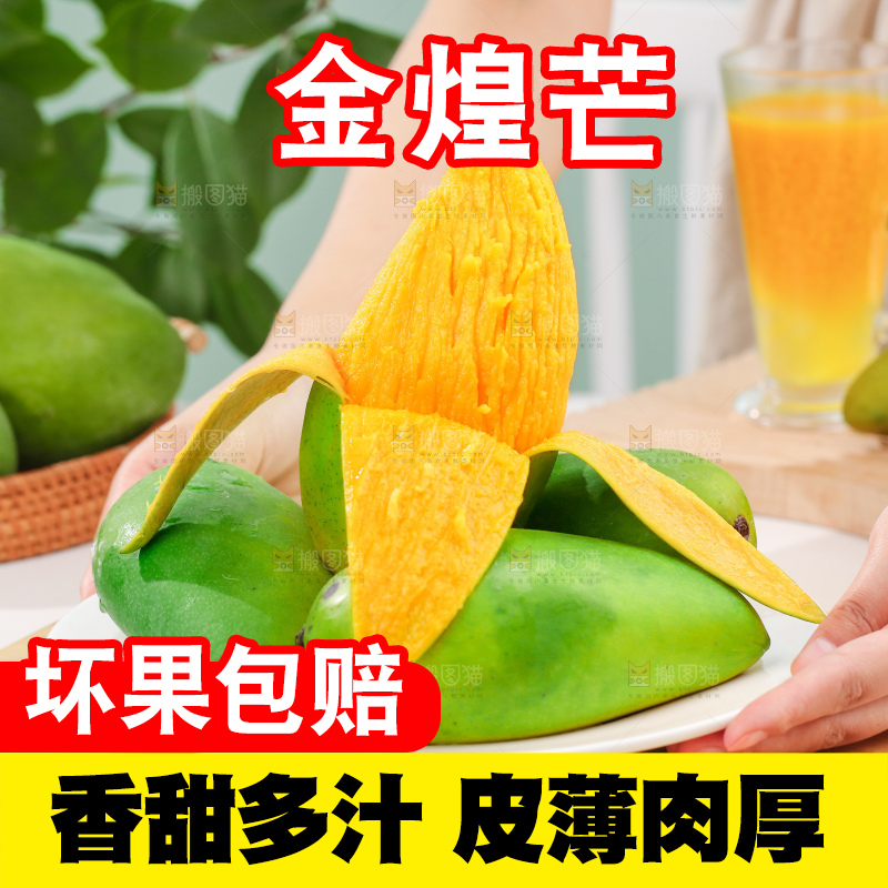 浅底上的绿皮金煌芒
