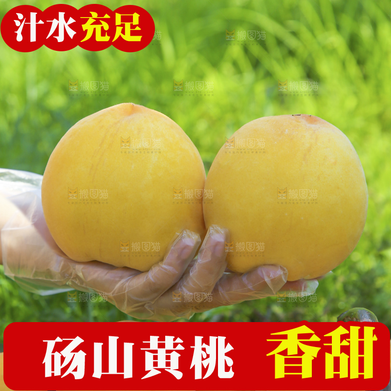 手里拿着黄毛桃
