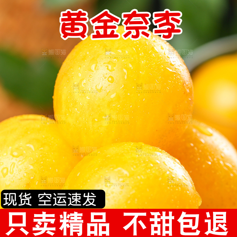 深底上的黄金奈李