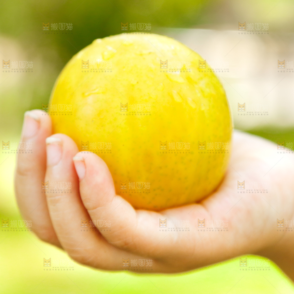 深底上的黄金奈李