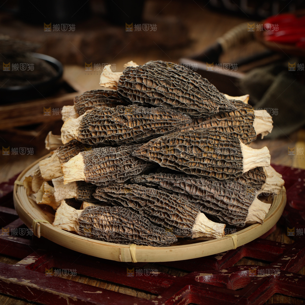 深底上的羊肚菌