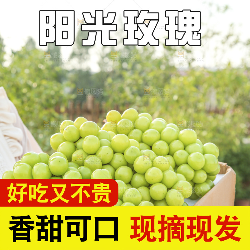 手里拿着阳光玫瑰