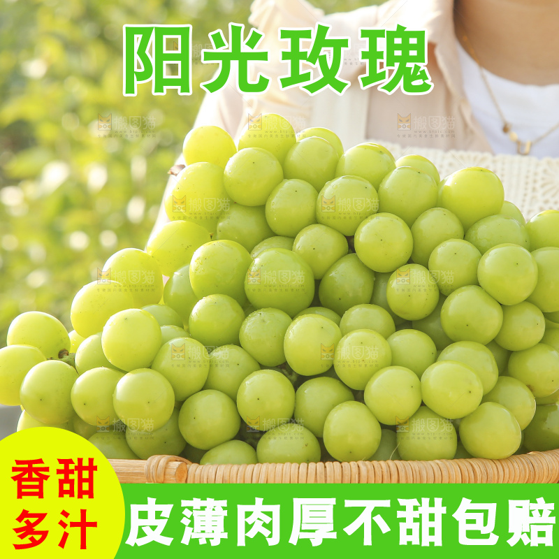手里拿着阳光玫瑰