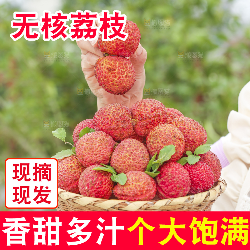 手里拿着无核荔枝