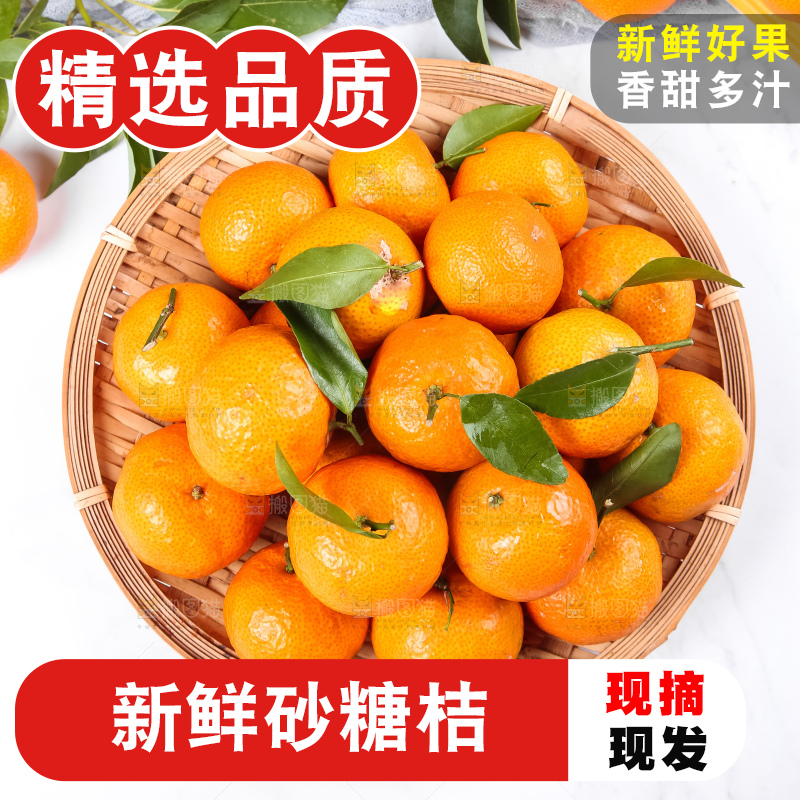 白底上的沙糖桔