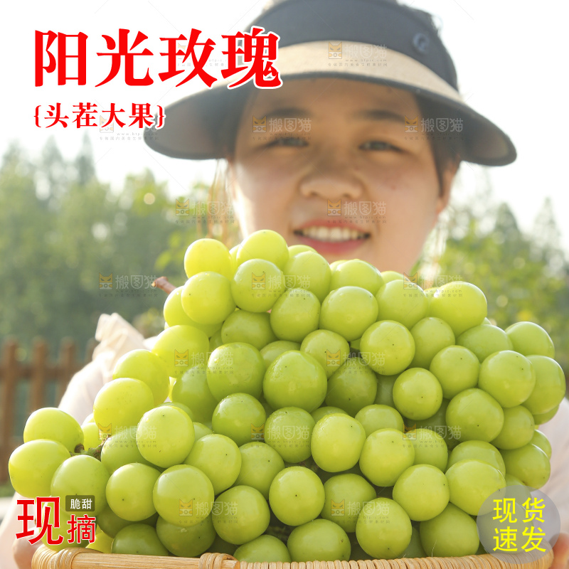 手里拿着阳光玫瑰