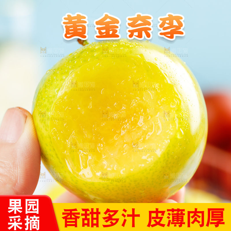 深底上的黄金奈李