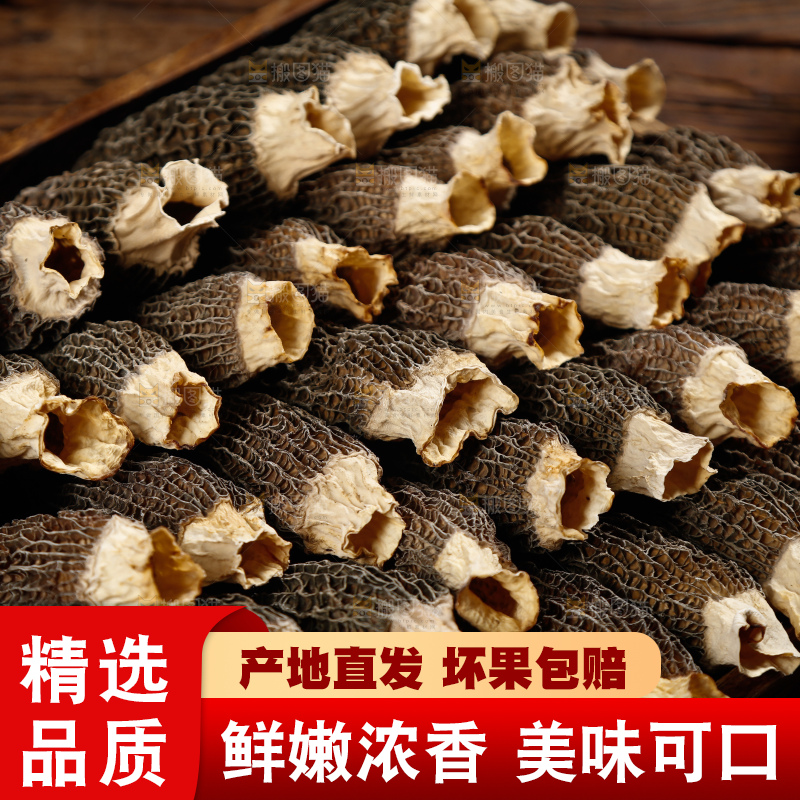 深底上的羊肚菌