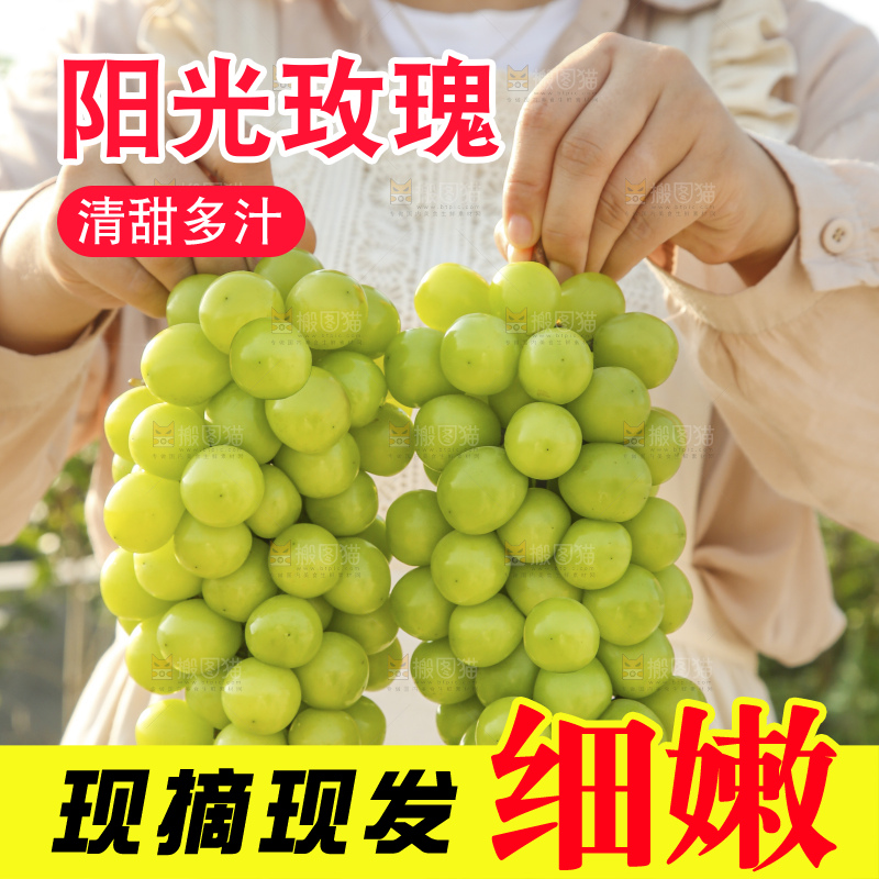 手里拿着阳光玫瑰