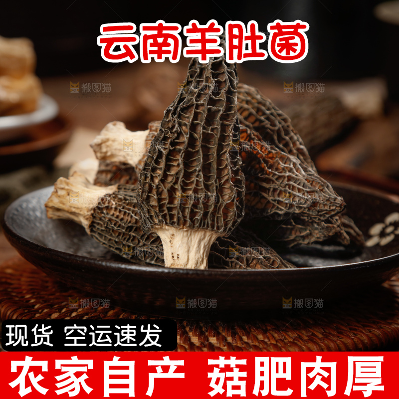 深底上的羊肚菌