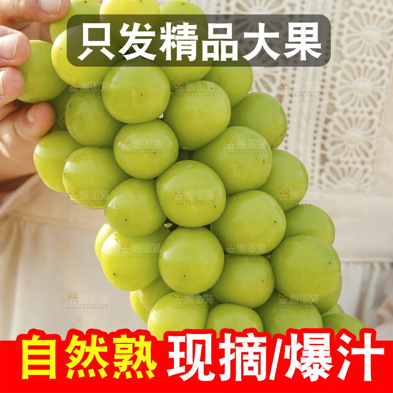 手里拿着阳光玫瑰