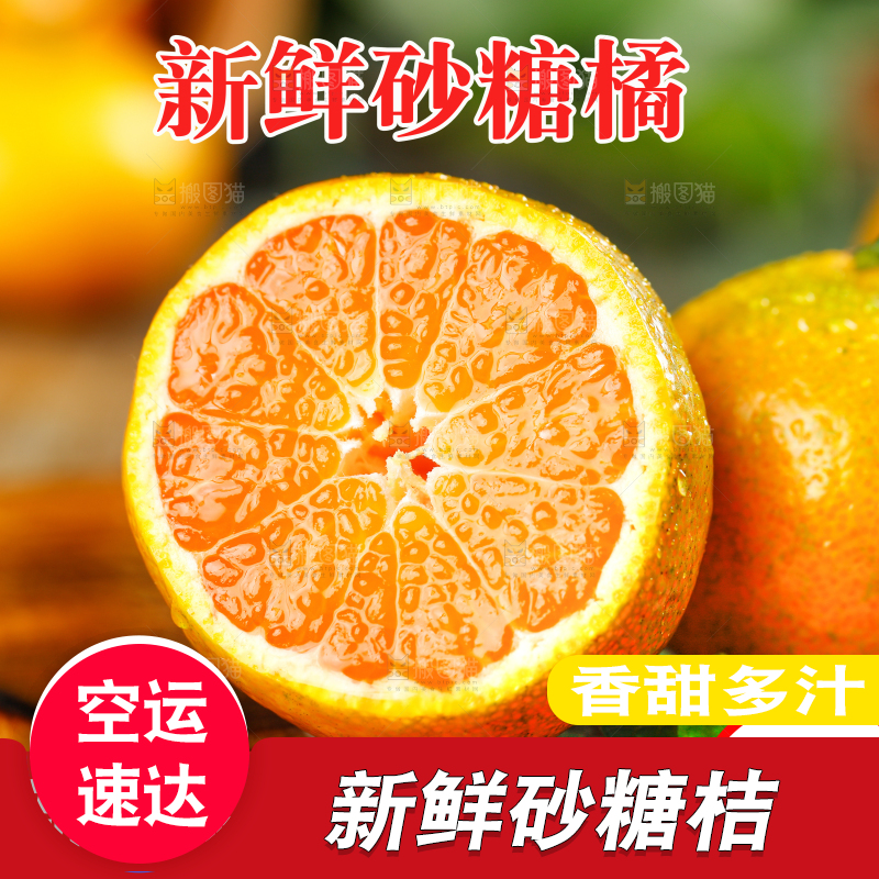 沙糖桔主图