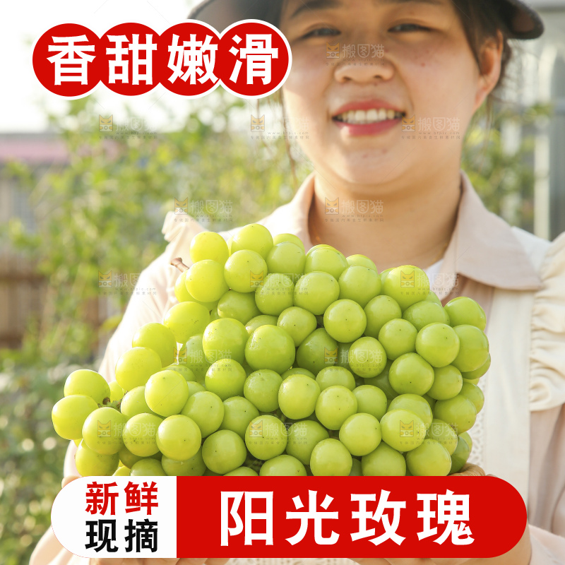手里拿着阳光玫瑰