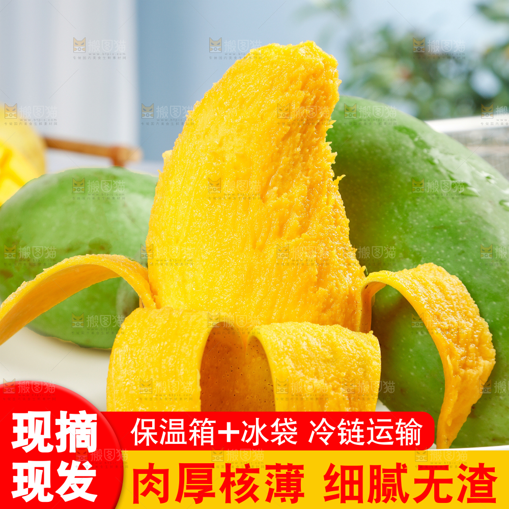 绿皮金煌芒主图