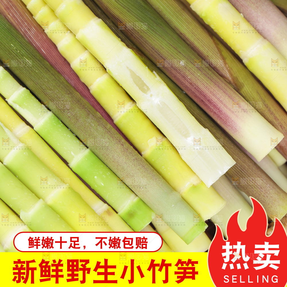 小竹笋主图