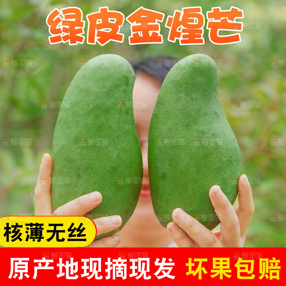 绿皮金煌芒主图