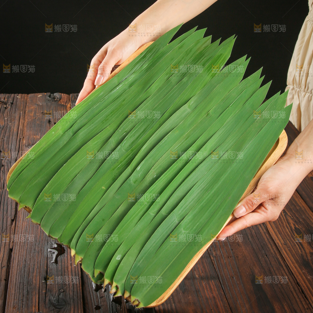 手里拿着新鲜粽叶
