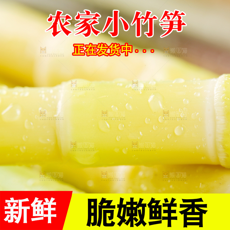 浅底上的小竹笋