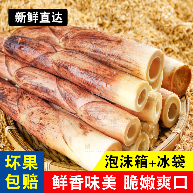 谷堆上的春雷笋
