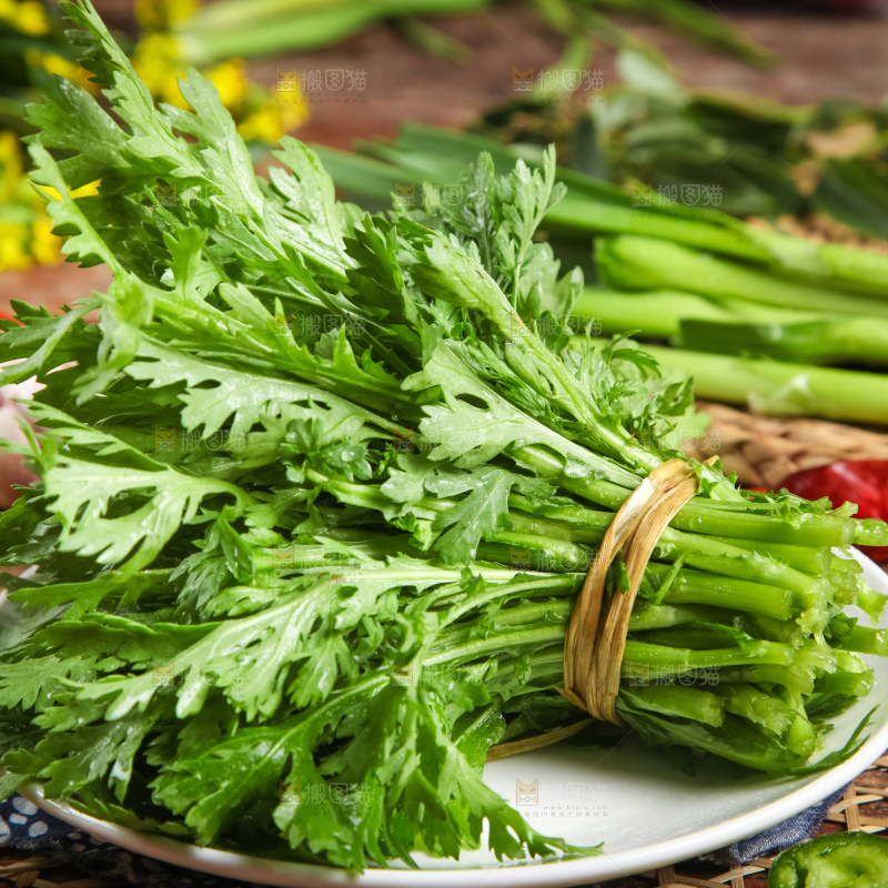 深底上的茼蒿