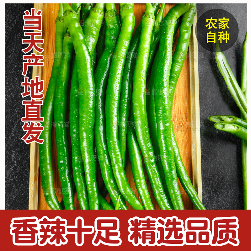 深底上的二荆条辣椒