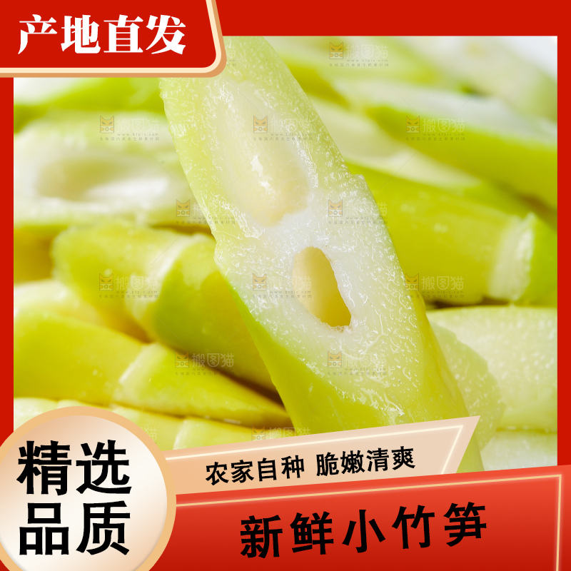 浅底上的小竹笋